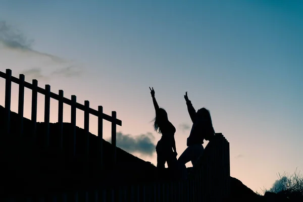 Backlit silhouette of two friends celebrating at sunset. Friendship concept