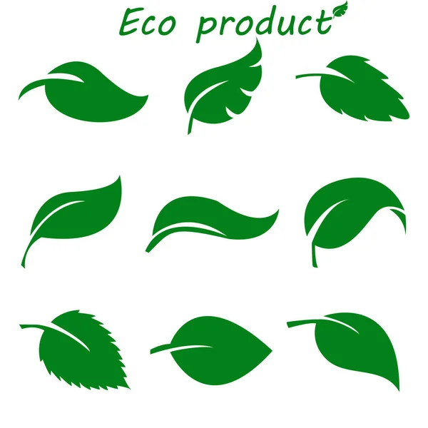 Yeşil Yaprak Koleksiyonu. Vektör İllüstrasyonu. Yaprak kümesi