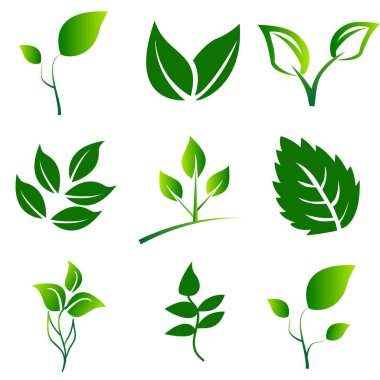 Green Leaves Collection. Beyaz fon üzerinde simge vektörü izole edildi. Eko ve biyoloji logosu için elementler. Vektör İllüstrasyonu