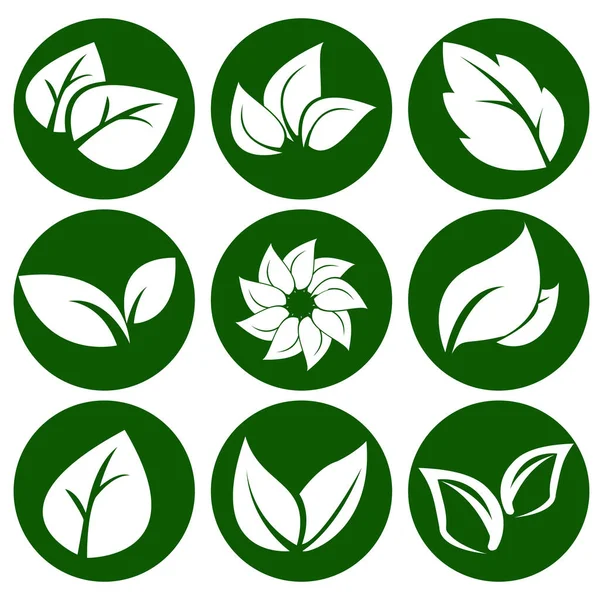 Yuvarlak yeşil düğmede beyaz yapraklar. Eko ve biyolojik logolar için elementler. Vektör İllüstrasyonu