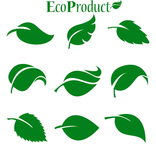 Zielone Liście Kolekcji Produkt Ekologiczny Ilustracja Wektora — Wektor stockowy