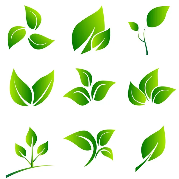 Green Leaves Collection Leaves Εικονίδιο Διάνυσμα Που Απομονώνονται Λευκό Φόντο Διάνυσμα Αρχείου