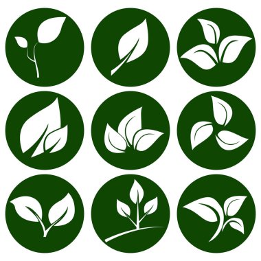 Yuvarlak yeşil düğmedeki beyaz yapraklar. Eko ve biyolojik logolar için elementler. Vektör İllüstrasyonu