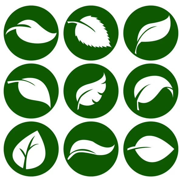 Hojas Blancas Botón Verde Redondo Elementos Para Logotipos Ecológicos Biológicos — Vector de stock