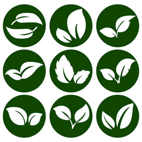Hojas Blancas Botón Verde Redondo Elementos Para Logotipos Ecológicos Biológicos — Vector de stock