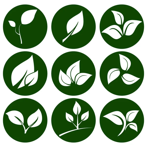 Conjunto Hojas Blancas Botón Verde Redondo Elementos Para Logotipos Ecológicos — Vector de stock