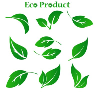 Yeşil Yaprak Koleksiyonu. Vektör İllüstrasyonu. Yaprak kümesi