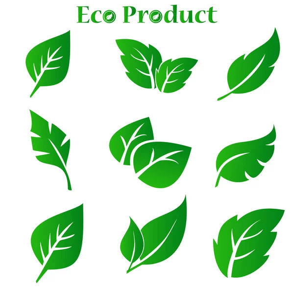 Yeşil Yaprak Koleksiyonu. Vektör İllüstrasyonu. Yaprak kümesi