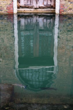 Fische im Kanal in Venedig