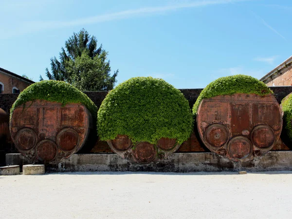 Arsenale Venedig Eisenfsser — Zdjęcie stockowe