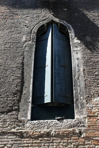 Fenster mit Taube in Venedig