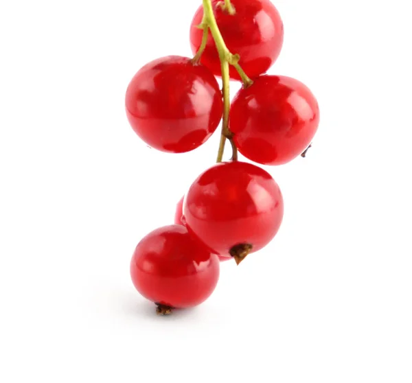 Red Currant Berries Isolated White Background — Stock Photo, Image