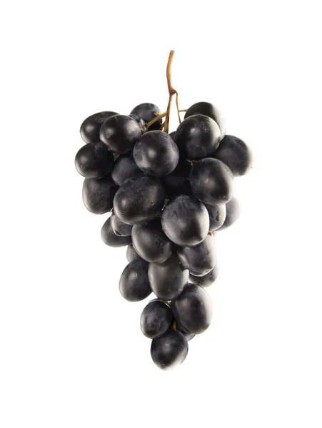 Zwarte Druiven Geïsoleerd Witte Achtergrond — Stockfoto