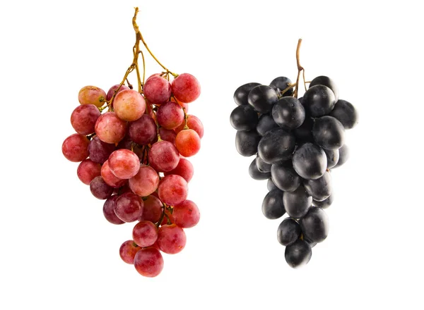 Verzameling Van Druivenrassen Geïsoleerd Witte Achtergrond Rode Druiven Zwarte Druiven — Stockfoto