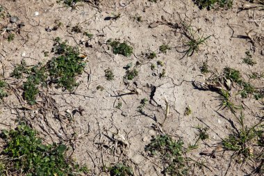 Su kıtlığı ve kuru arazi. Çatlak toprağın dokusu. Kuraklık tarlası, kuru arazi Manzaranın tepesi ve kapatma. 