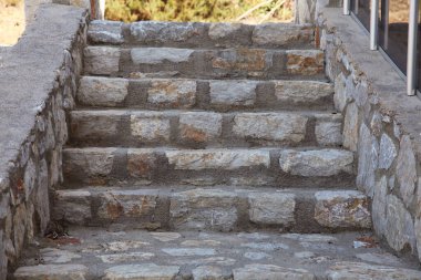 Kurumuş bir gül. Tek bir ölü çiçek. Seçici odak ve koyu arkaplan.