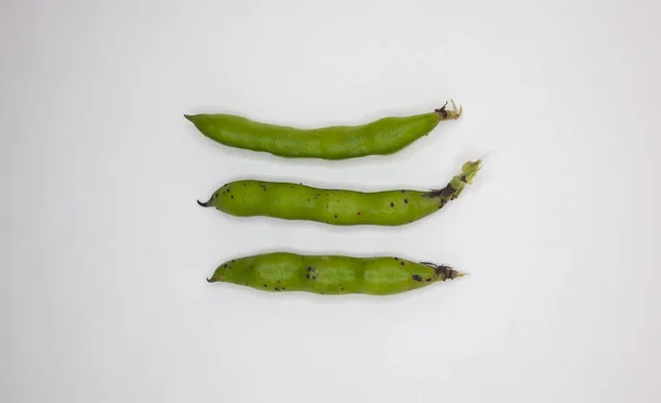 Broad beans. 3 fresh broad beans on a white background. Top view and isolated background.