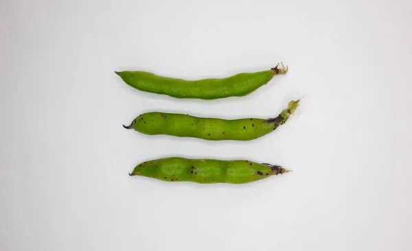 Broad beans. 3 fresh broad beans on a white background. Top view and isolated background.