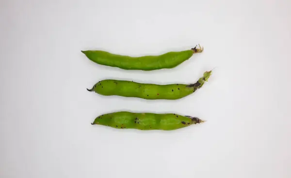 Broad Beans Fresh Broad Beans White Background Top View Isolated Stockbild