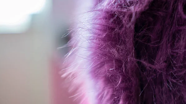 Purple long pile plush detail. Plush side views and close up. Copy Space.