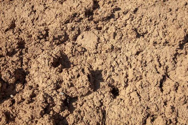 Kuru toprak. Gevşek ve kuru toprak. Yaklaş ve manzaranın üstüne çık..