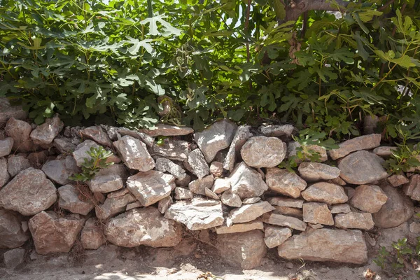Taş duvardan yapılmış eski bir köy çiti. Taş duvar birbiri üzerine taşlar yığılarak inşa edildi. Ve ağaçlar