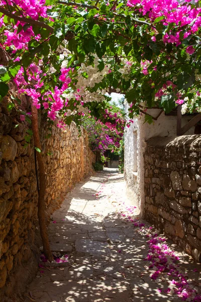 Datca, Mugla, Turkey - June 2022: Old Datca street view. Stone walls and bougainvillaea flowers.
