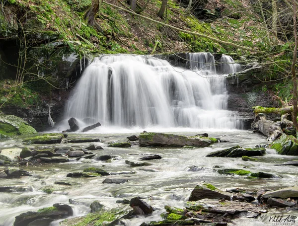 Waterfall Forest Catskill Mountains — Stockfoto