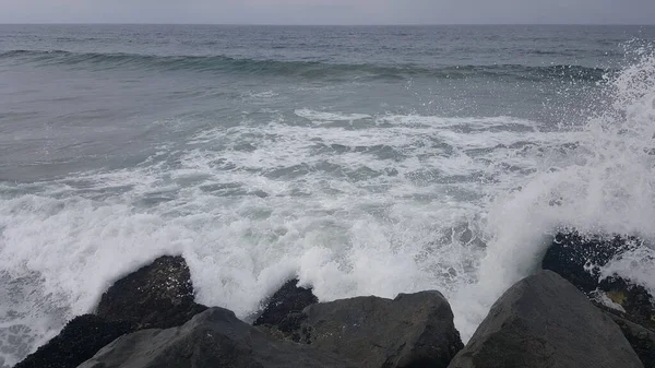 California shore - beautiful waves splashing against the rocks