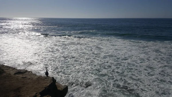 California shore - beautiful waves splashing against the rocks