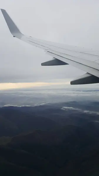Güzel manzaranın, ağaçların ve dağların üzerinde uçuyor.