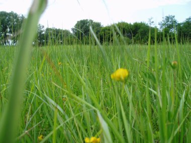 Ukrayna 'nın Güzel Doğa ve Mimarisi 