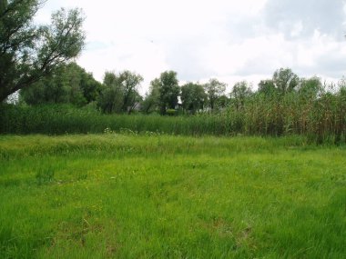 Ukrayna 'nın Güzel Doğa ve Mimarisi 