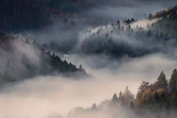house in foggy autumn forrest