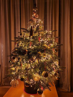 Beautifully decorated live christmas tree at home