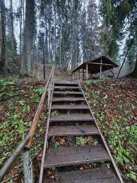 Őszi Erdő Fából Készült Lépcsők Folyótól Való Mászáshoz — Stock Fotó