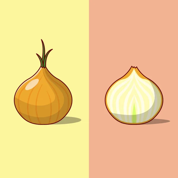 Whole Half Onion Vector Illustration Cooking Ingredient Spices Flat Cartoon — Stock Vector