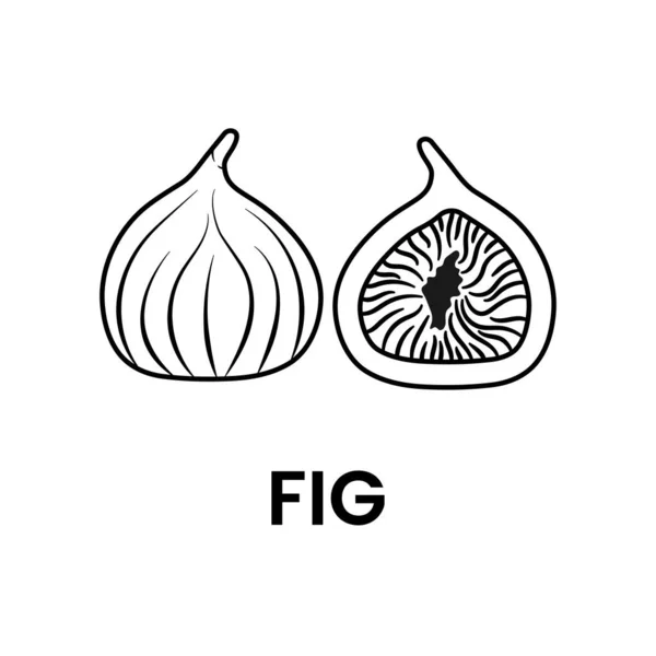 Figs Outline Logo Pictogram Witte Achtergrond — Stockvector
