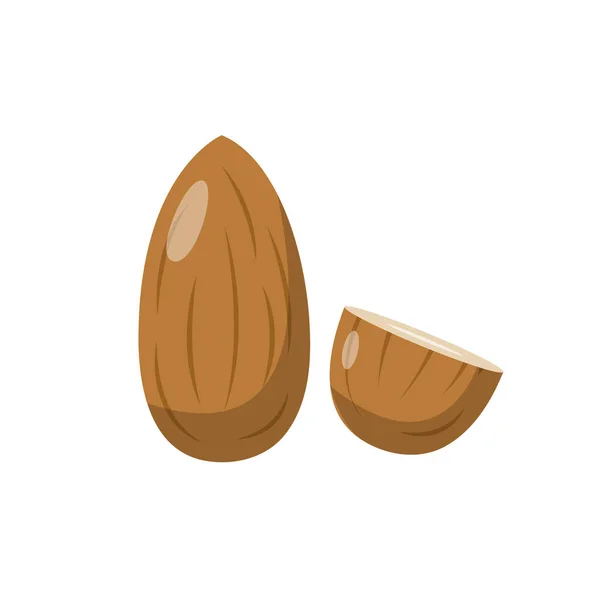 Almond Flat Illustration Ren Ikon Design Element Isolerad Vit Bakgrund — Stock vektor