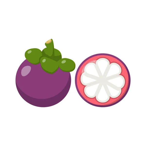 Mangosteen Flache Illustration Clean Icon Design Element Auf Isoliertem Weißen — Stockvektor