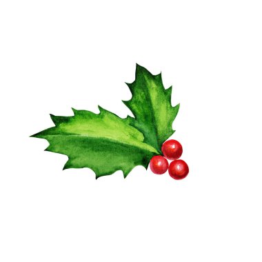 Watercolor illustration with holly leaves and berries. Winter botanical element for Christmas holiday design isolated on white background.
