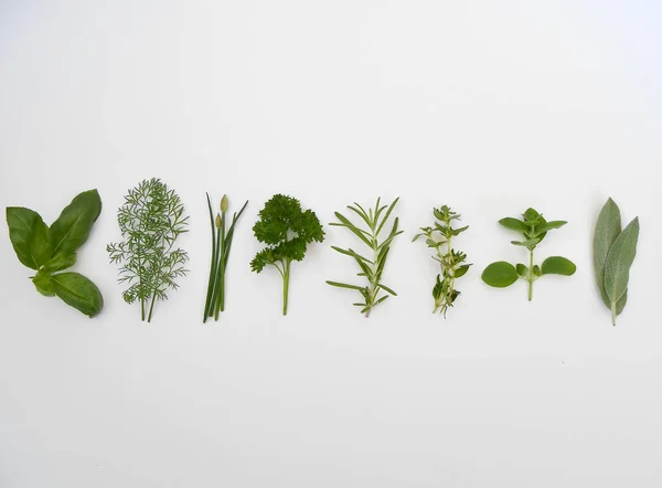 Beyaz arka planda sekiz taze yeşil bitki