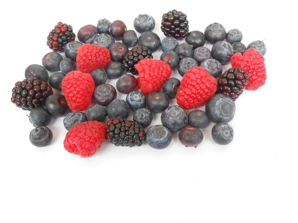 Arka planda beyaz bir yaban mersini.