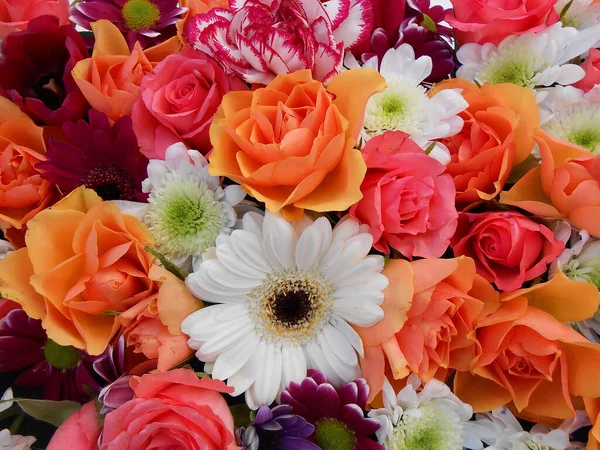 Çiçekler, güller, gerberalar, kasımpatılar, gerberalar,