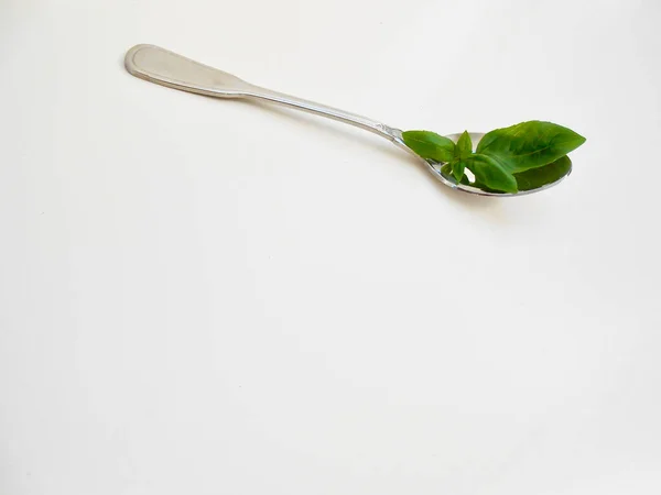 Beyaz arka planda taze yeşil fesleğen yapraklı kaşık, üst manzara, kopyalama alanı. Yakından, yandan.