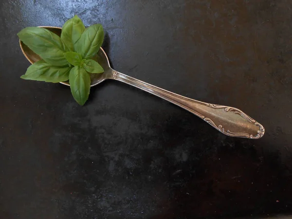 yeşil fesleğen yaprakları. en üstteki görünüm