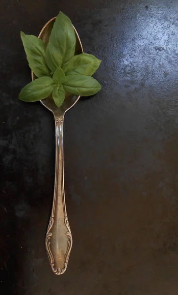 Taze yeşil fesleğen yaprakları eski gümüş kaşıkta koyu metalik arka planda