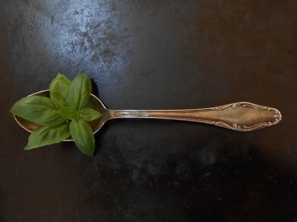 Siyah arkaplanda yeşil fesleğen yaprakları