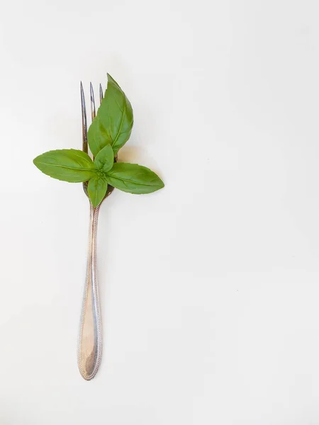 Beyaz arka planda eski gümüş çatallı taze yeşil fesleğen yaprakları. Üst Manzara. Boşluğu kopyala