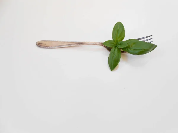 Beyaz arkaplanda gümüş çatal üzerinde taze yeşil fesleğen yaprakları, metin için boşluk